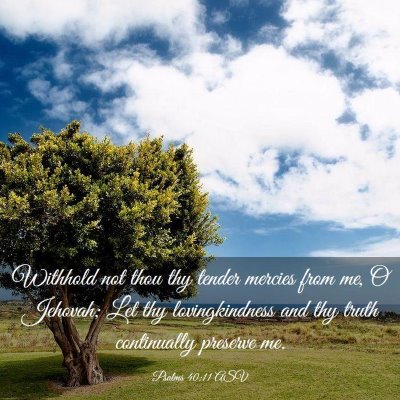Picture 03 - Psalms 40:11 ASV - Withhold not thou thy tender mercies from me, O - Bible Verse Picture