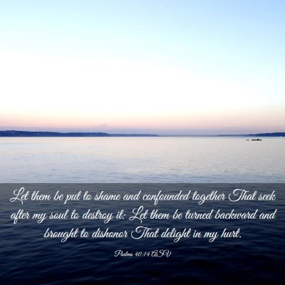 Picture 03 - Psalms 40:14 ASV - Let them be put to shame and confounded together - Bible Verse Picture
