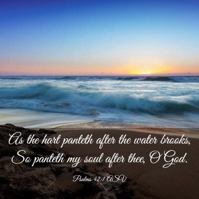 Picture 03 - Psalms 42:1 ASV - As the hart panteth after the water brooks, So - Bible Verse Picture
