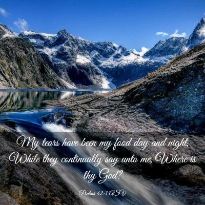 Picture 03 - Psalms 42:3 ASV - My tears have been my food day and night, While - Bible Verse Picture