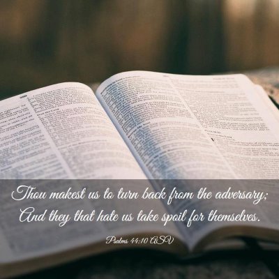 Picture 03 - Psalms 44:10 ASV - Thou makest us to turn back from the adversary; - Bible Verse Picture