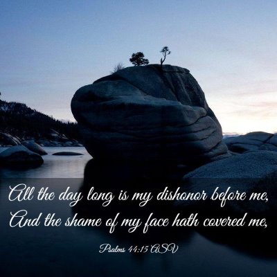 Picture 03 - Psalms 44:15 ASV - All the day long is my dishonor before me, And - Bible Verse Picture