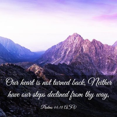 Picture 03 - Psalms 44:18 ASV - Our heart is not turned back, Neither have our - Bible Verse Picture