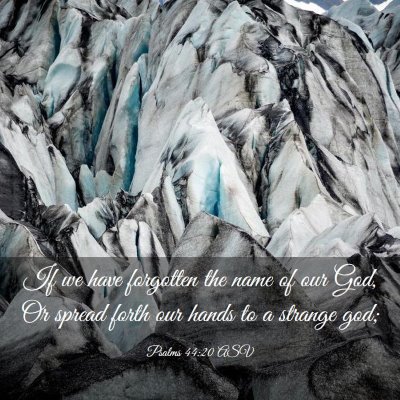 Picture 03 - Psalms 44:20 ASV - If we have forgotten the name of our God, Or - Bible Verse Picture