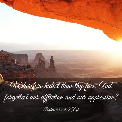 Picture 03 - Psalms 44:24 ASV - Wherefore hidest thou thy face, And forgettest - Bible Verse Picture
