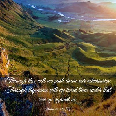 Picture 03 - Psalms 44:5 ASV - Through thee will we push down our adversaries: - Bible Verse Picture