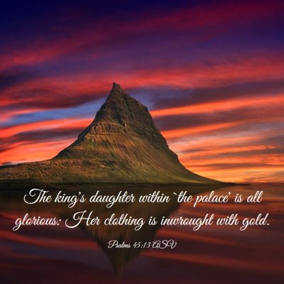 Picture 03 - Psalms 45:13 ASV - The king's daughter within `the palace' is all - Bible Verse Picture