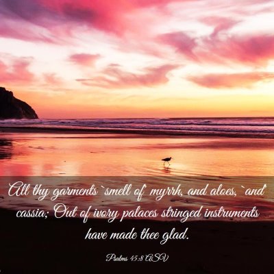Picture 03 - Psalms 45:8 ASV - All thy garments `smell of' myrrh, and aloes, - Bible Verse Picture
