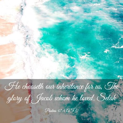 Picture 03 - Psalms 47:4 ASV - He chooseth our inheritance for us, The glory of - Bible Verse Picture