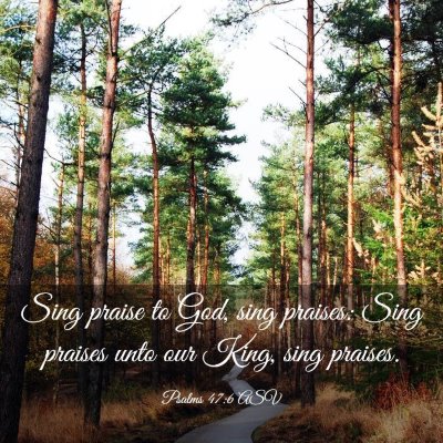 Picture 03 - Psalms 47:6 ASV - Sing praise to God, sing praises: Sing praises - Bible Verse Picture