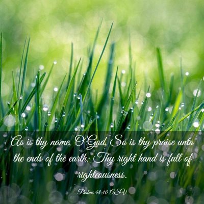 Picture 03 - Psalms 48:10 ASV - As is thy name, O God, So is thy praise unto the - Bible Verse Picture