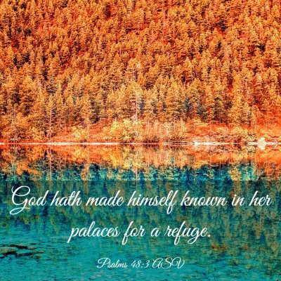 Picture 03 - Psalms 48:3 ASV - God hath made himself known in her palaces for a - Bible Verse Picture