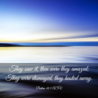 Picture 03 - Psalms 48:5 ASV - They saw it, then were they amazed; They were - Bible Verse Picture
