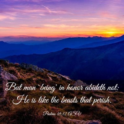 Picture 03 - Psalms 49:12 ASV - But man `being' in honor abideth not: He is like - Bible Verse Picture