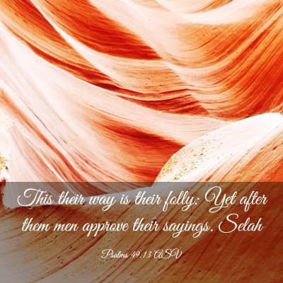 Picture 03 - Psalms 49:13 ASV - This their way is their folly: Yet after them men - Bible Verse Picture