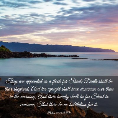 Picture 03 - Psalms 49:14 ASV - They are appointed as a flock for Sheol; Death - Bible Verse Picture