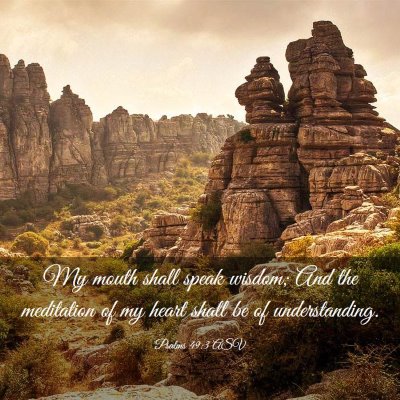 Picture 03 - Psalms 49:3 ASV - My mouth shall speak wisdom; And the meditation - Bible Verse Picture