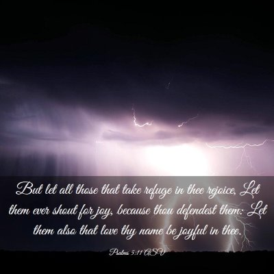 Picture 03 - Psalms 5:11 ASV - But let all those that take refuge in thee - Bible Verse Picture