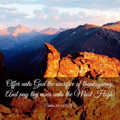 Picture 03 - Psalms 50:14 ASV - Offer unto God the sacrifice of thanksgiving; And - Bible Verse Picture