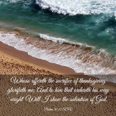 Picture 03 - Psalms 50:23 ASV - Whoso offereth the sacrifice of thanksgiving - Bible Verse Picture