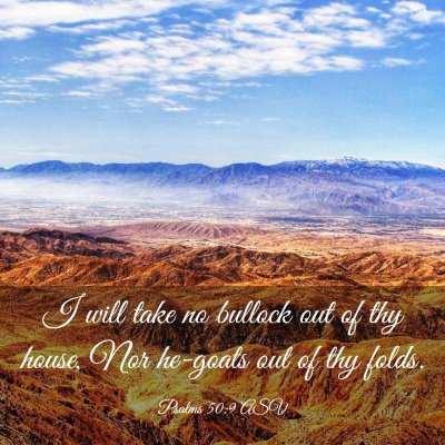 Picture 03 - Psalms 50:9 ASV - I will take no bullock out of thy house, Nor - Bible Verse Picture