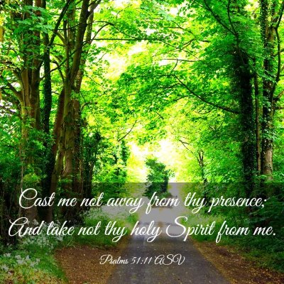 Picture 03 - Psalms 51:11 ASV - Cast me not away from thy presence; And take not - Bible Verse Picture