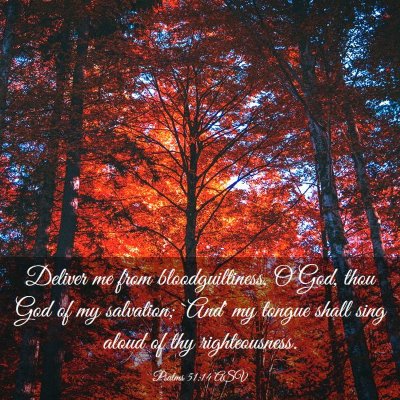 Picture 03 - Psalms 51:14 ASV - Deliver me from bloodguiltiness, O God, thou God - Bible Verse Picture
