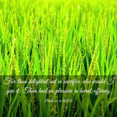 Picture 03 - Psalms 51:16 ASV - For thou delightest not in sacrifice; else would - Bible Verse Picture