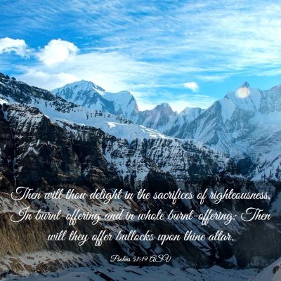 Picture 03 - Psalms 51:19 ASV - Then will thou delight in the sacrifices of - Bible Verse Picture