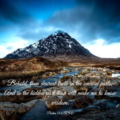 Picture 03 - Psalms 51:6 ASV - Behold, thou desirest truth in the inward parts; - Bible Verse Picture