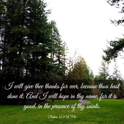 Picture 03 - Psalms 52:9 ASV - I will give thee thanks for ever, because thou - Bible Verse Picture