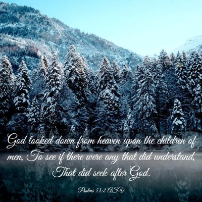 Picture 03 - Psalms 53:2 ASV - God looked down from heaven upon the children of - Bible Verse Picture