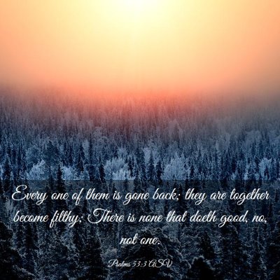Picture 03 - Psalms 53:3 ASV - Every one of them is gone back; they are together - Bible Verse Picture