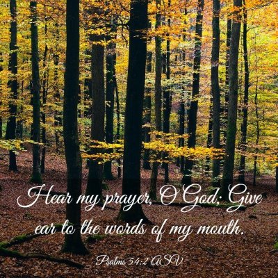 Picture 03 - Psalms 54:2 ASV - Hear my prayer, O God; Give ear to the words of - Bible Verse Picture