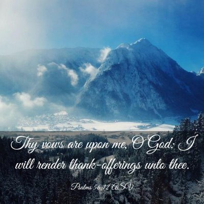 Picture 03 - Psalms 56:12 ASV - Thy vows are upon me, O God: I will render - Bible Verse Picture