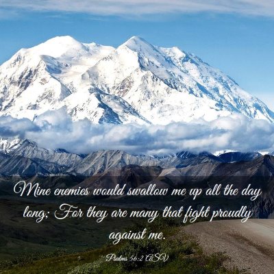 Picture 03 - Psalms 56:2 ASV - Mine enemies would swallow me up all the day - Bible Verse Picture