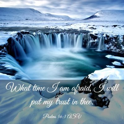 Picture 03 - Psalms 56:3 ASV - What time I am afraid, I will put my trust in - Bible Verse Picture