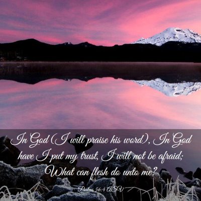 Picture 03 - Psalms 56:4 ASV - In God (I will praise his word), In God have I - Bible Verse Picture