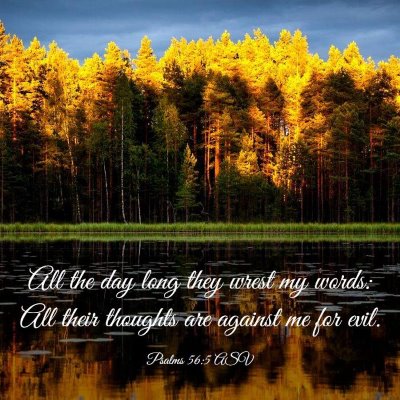 Picture 03 - Psalms 56:5 ASV - All the day long they wrest my words: All their - Bible Verse Picture