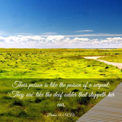 Picture 03 - Psalms 58:4 ASV - Their poison is like the poison of a serpent: - Bible Verse Picture