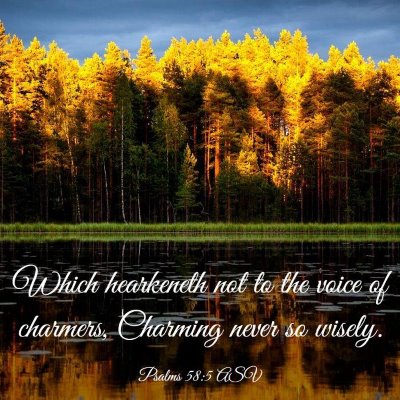 Picture 03 - Psalms 58:5 ASV - Which hearkeneth not to the voice of charmers, - Bible Verse Picture