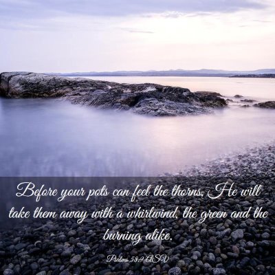 Picture 03 - Psalms 58:9 ASV - Before your pots can feel the thorns, He will - Bible Verse Picture