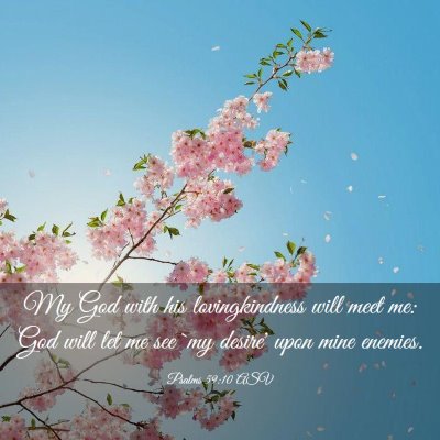 Picture 03 - Psalms 59:10 ASV - My God with his lovingkindness will meet me: God - Bible Verse Picture