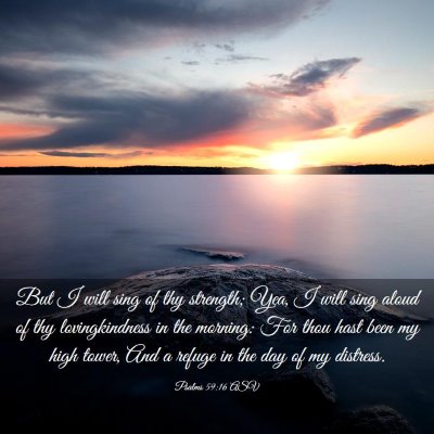 Picture 03 - Psalms 59:16 ASV - But I will sing of thy strength; Yea, I will sing - Bible Verse Picture