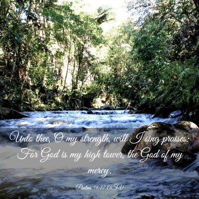 Picture 03 - Psalms 59:17 ASV - Unto thee, O my strength, will I sing praises: - Bible Verse Picture