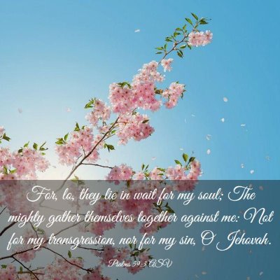 Picture 03 - Psalms 59:3 ASV - For, lo, they lie in wait for my soul; The mighty - Bible Verse Picture
