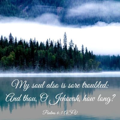 Picture 03 - Psalms 6:3 ASV - My soul also is sore troubled: And thou, O - Bible Verse Picture