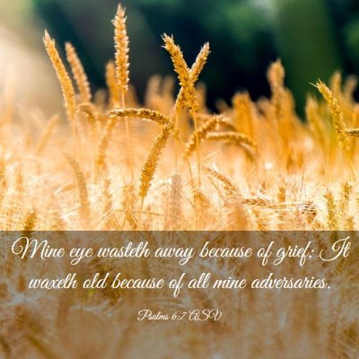Picture 03 - Psalms 6:7 ASV - Mine eye wasteth away because of grief; It waxeth - Bible Verse Picture