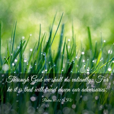 Picture 03 - Psalms 60:12 ASV - Through God we shall do valiantly; For he it is - Bible Verse Picture