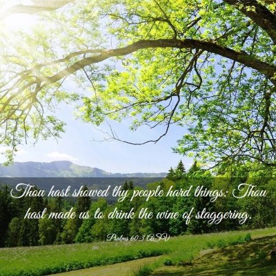 Picture 03 - Psalms 60:3 ASV - Thou hast showed thy people hard things: Thou - Bible Verse Picture